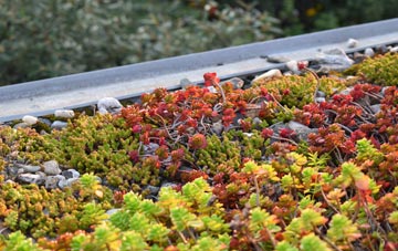 the cost of Branault green roof installation