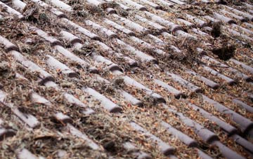 Branault roof cleaning companies